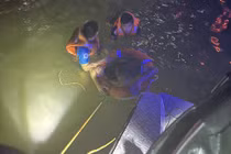 10 ngày cứu sống 2 vụ nhảy cầu Thuận Phước