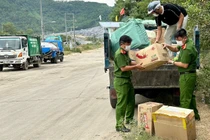 Đà Nẵng tiêu hủy gần 10.000 bánh Trung thu trôi nổi