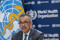 WHO đã giải ngân 1,5 triệu USD phòng chống đậu mùa khỉ 