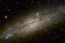 Siêu tân tinh chỉ 14 tuổi gây sốt vì lý do bất ngờ