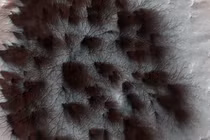 Sửng sốt phát hiện nhện khổng lồ trên sao Hỏa?