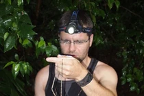 Nhân giống thành công côn trùng gậy khổng lồ, dài nửa mét