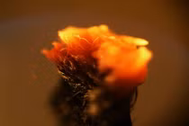 Chết khiếp hình ảnh rùng rợn của vật dụng thường ngày 