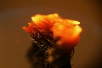 Chết khiếp hình ảnh rùng rợn của vật dụng thường ngày 