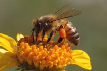 Sự thật gây sốc về thế giới quanh ta (3)