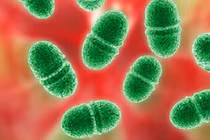 Những sự thật gây sửng sốt về vi khuẩn