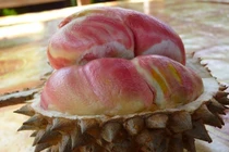 Những trái cây có màu sắc cực dị ẩn chứa bí mật gây sốc