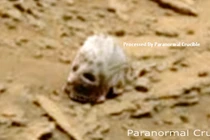 Rúng động phát hiện hình ảnh sọ người trên sao Hỏa