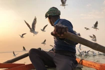 Ngỡ ngàng ngắm những bức ảnh siêu đẹp chụp từ iPhone