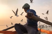 Ngỡ ngàng ngắm những bức ảnh siêu đẹp chụp từ iPhone