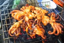 Những khám phá đầy bất ngờ về con ruốc lỗ