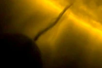 Hành tinh X đánh cắp năng lượng từ Mặt trời cực quái đản