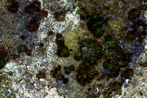 Khủng khiếp vụ va chạm bí ẩn khiến 30 miệng núi lửa "chào đời" 