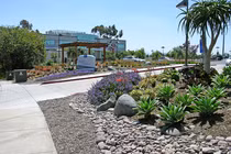 Ba lĩnh vực Bill Gates sẽ đầu tư nếu khởi nghiệp lại