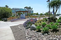 Ba lĩnh vực Bill Gates sẽ đầu tư nếu khởi nghiệp lại