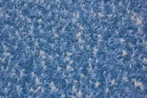 Bí ẩn hàng triệu bông hoa sương nở rộ trên mặt nước 