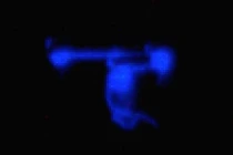 Sửng sốt vật thể giống UFO nhảy múa trong đêm