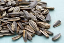 Sự thật thú vị ít người biết về hạt hướng dương
