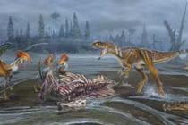 Những bữa tiệc đẫm máu của sinh vật thời tiền sử (1)