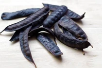 Những khám phá gây bất ngờ về cây bồ kết