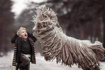 Top động vật kỳ dị nhất hành tinh, ai thấy cũng “nổi da gà” 