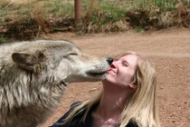 Giật mình với ảnh chụp cùng “quái vật” tự nhiên