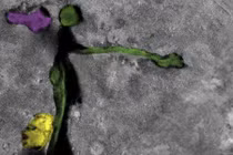 Sửng sốt loạt di tích lạ và bí ẩn trên sao Hỏa