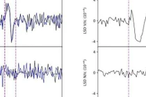 Sửng sốt từ trường phát ra từ trong hai ngôi sao nóng