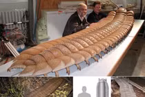 Sởn gai ốc trước hình ảnh các loài côn trùng thời tiền sử