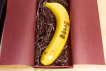 Sự thật kinh ngạc giống chuối được tạo từ 100 giống khác nhau 