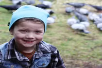 Bầy quạ suốt 4 năm tặng quà cho ân nhân 8 tuổi