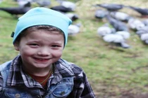 Bầy quạ suốt 4 năm tặng quà cho ân nhân 8 tuổi