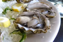 Tiết lộ những “bí mật” thú vị về con hàu sữa