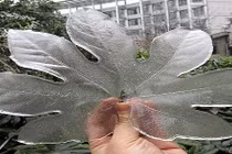 Ngỡ ngàng với tác phẩm điêu khắc tuyệt diệu từ băng đá 