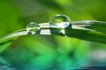 Sự thật đáng kinh ngạc về nước ít ai ngờ đến