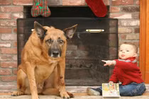 Chết cười với gương mặt tội lỗi của cún cưng 