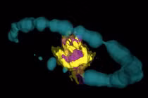 Cảnh độc: Trái tim siêu tân tinh nổ dưới công nghệ 3D