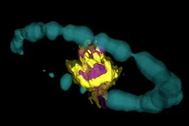 Cảnh độc: Trái tim siêu tân tinh nổ dưới công nghệ 3D