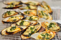 Điều ít biết về con chem chép biển, đặc sản Quảng Bình