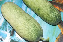 Sự thật gây bất ngờ về quả dưa mèo