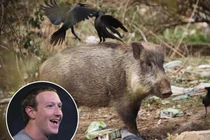 Ông chủ Facebook Mark Zuckerberg để lộ sở thích kỳ lạ khiến ai cũng sốc