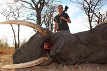 Những vụ sát hại động vật man rợ gây phẫn nộ dư luận