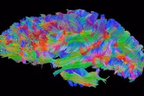 Những phát hiện khoa học khiến ai cũng bất ngờ thảng thốt