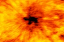 Phát hiện vệt đen khổng lồ hình con rùa trên Mặt trời 