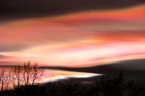 Chùm ảnh: Sự bí ẩn và vẻ đẹp khó cưỡng của mây xà cừ 