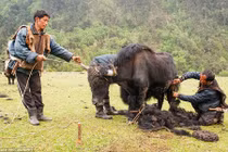 Khám phá bộ lạc du mục ở đất nước hạnh phúc nhất thế giới