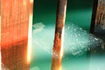 Xót xa cảnh hoang tàn ở các trạm vũ trụ quốc tế