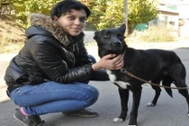 Xúc động chú chó đi bộ 300 km trở về với chủ