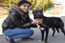 Xúc động chú chó đi bộ 300 km trở về với chủ