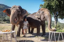 Soi dàn thú cưng “chất phát ngất” của gia đình hoàng tộc